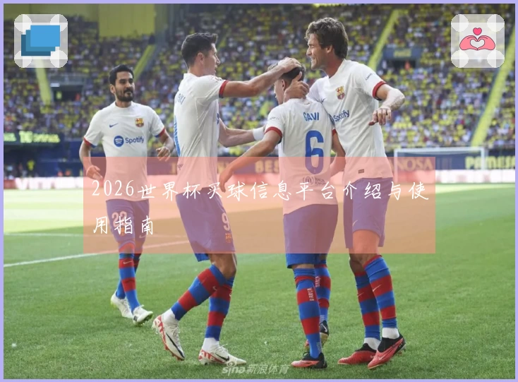 2026世界杯买球信息平台介绍与使用指南