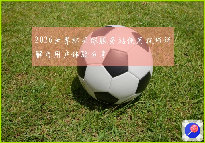 2026世界杯买球服务站使用技巧详解与用户体验分享