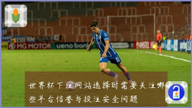 世界杯下注网站选择时需要关注哪些平台信誉与投注安全问题