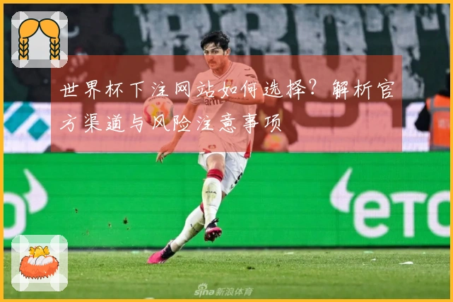 世界杯下注网站如何选择？解析官方渠道与风险注意事项
