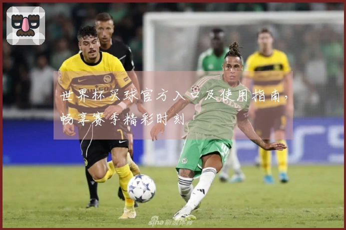 世界杯买球官方入口及使用指南，畅享赛季精彩时刻