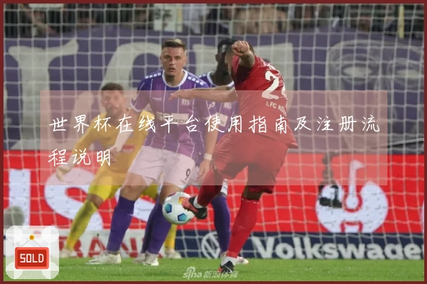 世界杯在线平台使用指南及注册流程说明