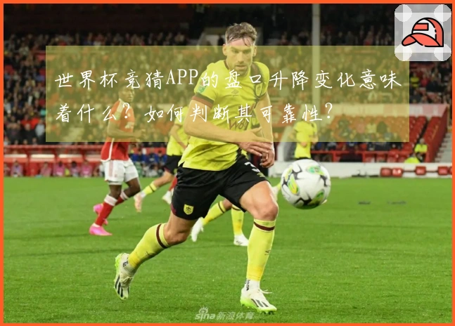 世界杯竞猜APP的盘口升降变化意味着什么？如何判断其可靠性？