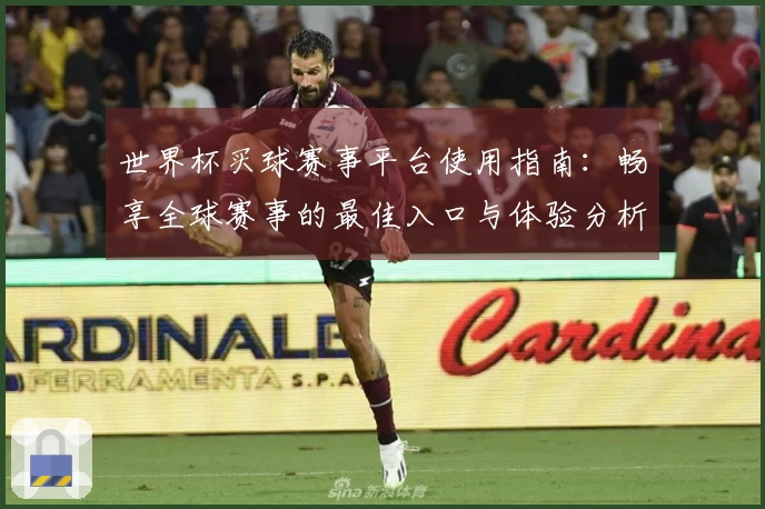 世界杯买球赛事平台使用指南：畅享全球赛事的最佳入口与体验分析