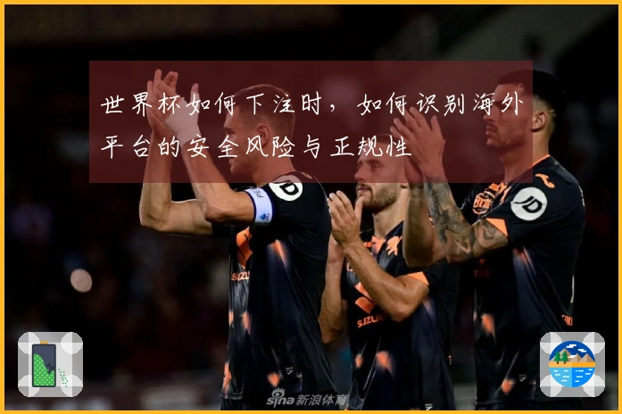 世界杯如何下注时，如何识别海外平台的安全风险与正规性