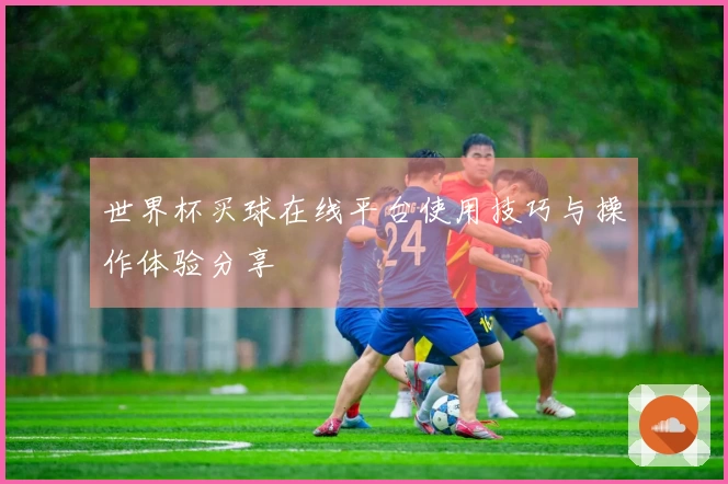 世界杯买球在线平台使用技巧与操作体验分享