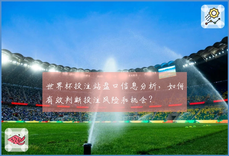 世界杯投注站盘口信息分析，如何有效判断投注风险和机会？