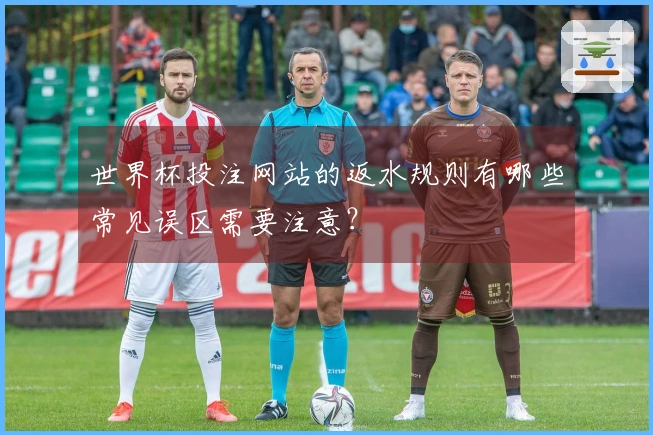 世界杯投注网站的返水规则有哪些常见误区需要注意？