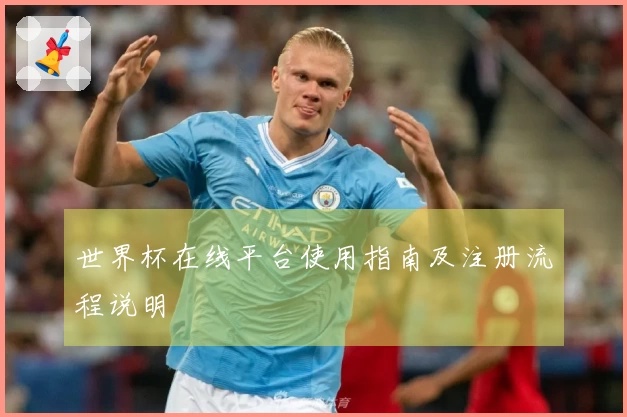 世界杯在线平台使用指南及注册流程说明