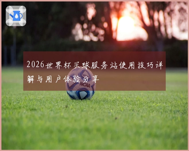 2026世界杯买球服务站使用技巧详解与用户体验分享