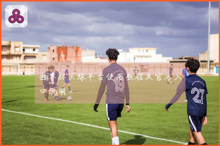 世界杯买球平台使用教程及官方入口说明
