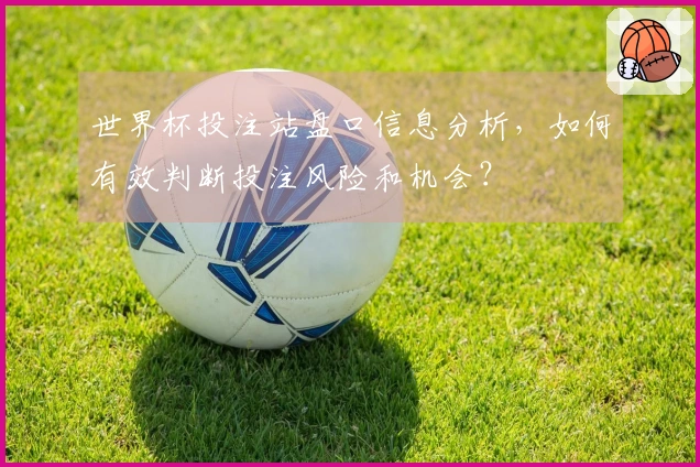 世界杯投注站盘口信息分析，如何有效判断投注风险和机会？