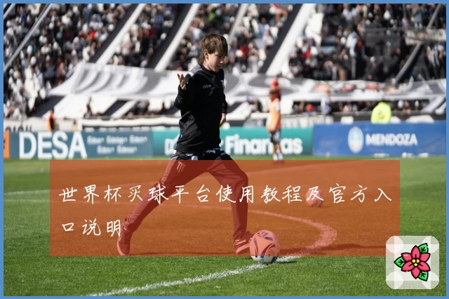 世界杯买球平台使用教程及官方入口说明