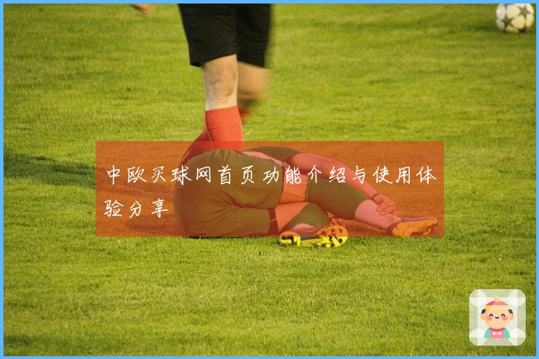 中欧买球网首页功能介绍与使用体验分享