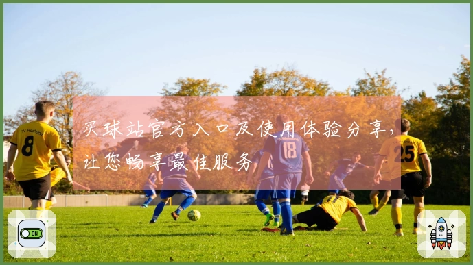 买球站官方入口及使用体验分享，让您畅享最佳服务